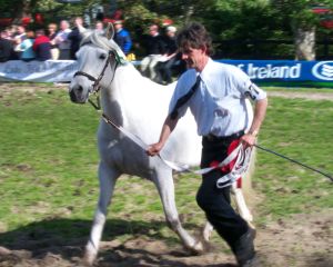 Clifden Pony Show, 15 Aug 2002