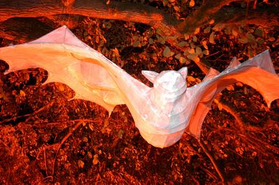 Halloween Macnas Parade, 2003
