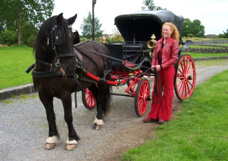 Orange & Pablo the pony. Carriage tours around Athenry.