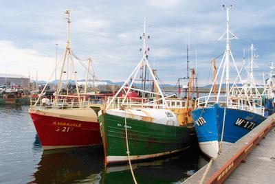 Trawlers docked at Rossaveal harbour