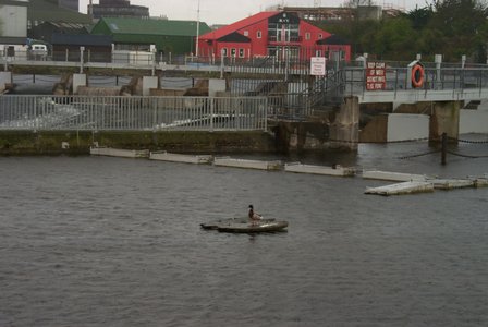 p0001663.small.jpg