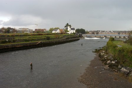 p0001668.small.jpg