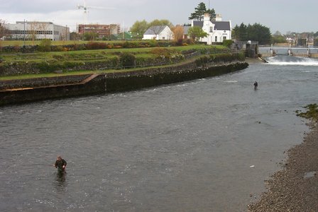p0001670.small.jpg