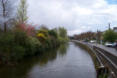p0001678.small.jpg